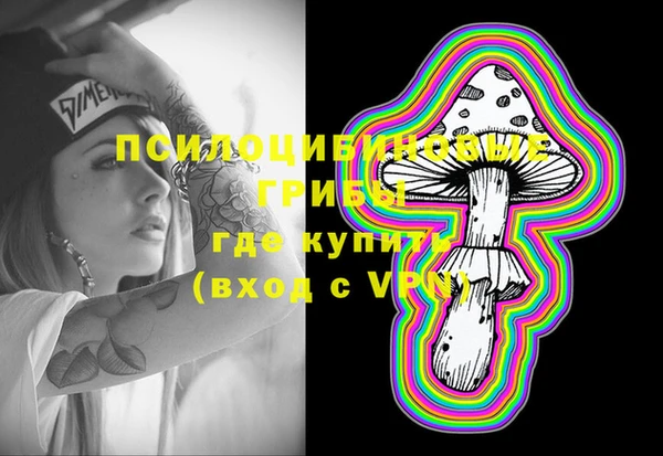 гашик Бугульма