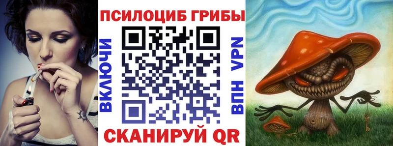 Псилоцибиновые грибы прущие грибы  Кимры 